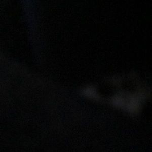 Meet your Posher, Kylie